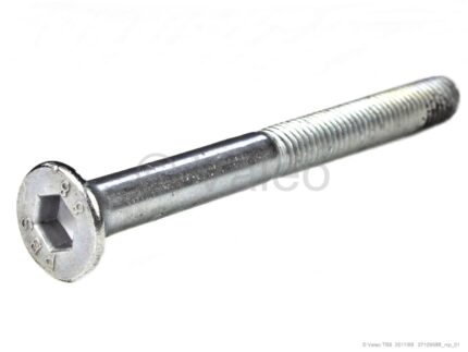 TORNILLO SUJECCION BOMBA COMBUSTIBLE TH 300